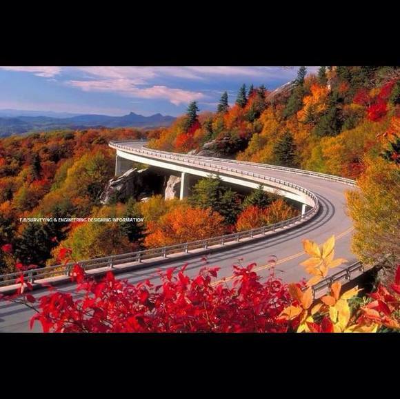 Profile Picture of Taslima Ullah (@taslimaullah) on Poshmark