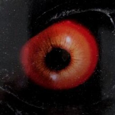 Profile Picture of Costentin (@bcostentin) on Twitter