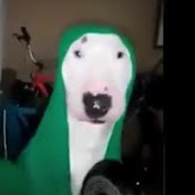 Profile Picture of Eric Haueter (@erichaueter3911) on Youtube