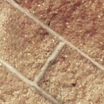 Profile Picture of Jacob Zinngerman23 (@bigniggaisbossplusmoms21) on Instagram