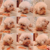 Profile Picture of Hsi Ching Chao (@hsichingchao4385) on Youtube