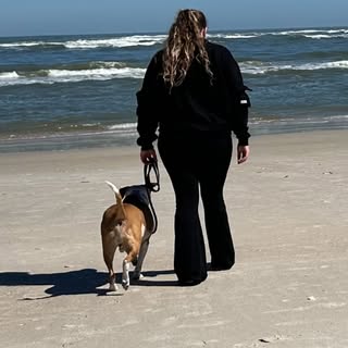 Profile Picture of Taylor Mello (@taylormello) on Instagram