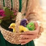 Profile Picture of Qãmr Äł Âwåmy (@qamralawamy) on Instagram