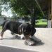 Profile Picture of Randy Little (@randy.little.75098) on Facebook