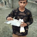 Profile Picture of preet jaswal (@preet_jaswal73) on Instagram