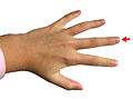 Profile Picture of Middle fingeron Wikipedia