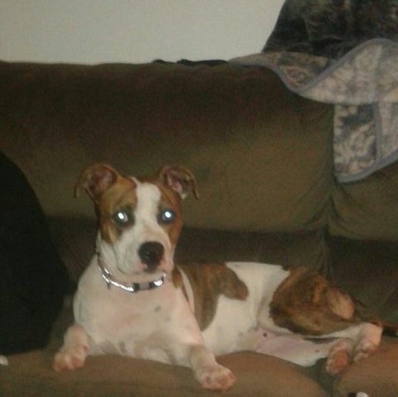 Profile Picture of Chaz Wuest (@chazwuest10) on Poshmark