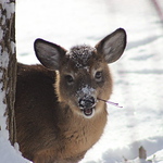 Profile Picture of Lucas Berry (@lb_mtl_photography) on Flickr