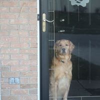 Profile Picture of Dustin Barnes (@dustin-barnes-19) on Quora