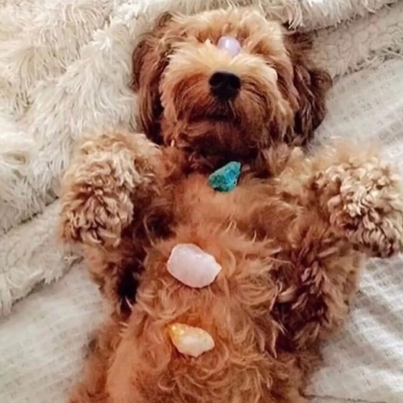 Profile Picture of Hollie Emerick (@hem97) on Poshmark