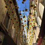 Profile Picture of chloe (@chloe.ackermann) on Instagram