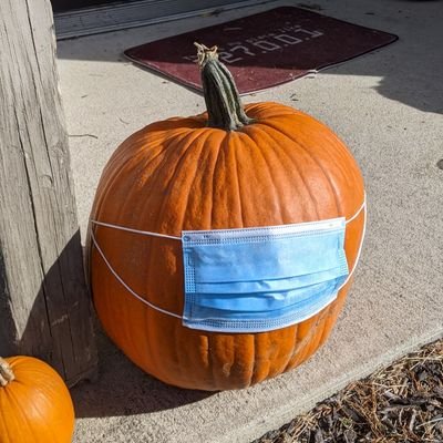 Profile Picture of Stuart Bowman (@stuartsoft) on Twitter