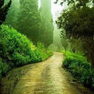 Profile Picture of Hassan Ayad (@HassanA97819445) on Twitter