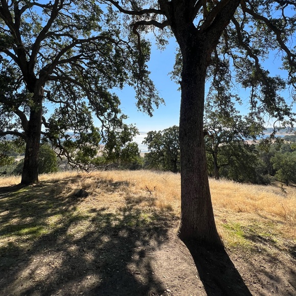 Profile Picture of Victoria Oswald (@victoriaoz71) on Poshmark