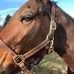 Profile Picture of Rebecca Utterback (@rebecca.utterback.9) on Facebook