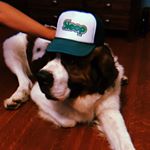 Profile Picture of Ralph Peckinpaugh (@saint__ralph) on Instagram