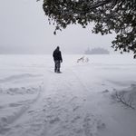 Profile Picture of Eric Rousseau (@eric.rousseau.1232) on Instagram