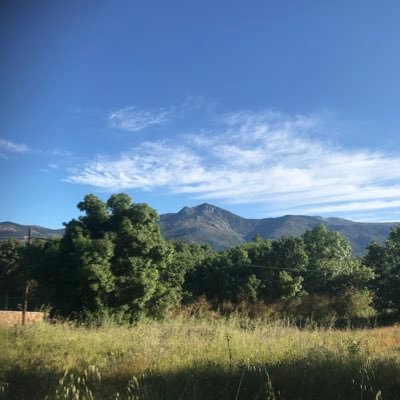Profile Picture of Laura Menéndez (@618_31) on Twitter