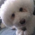 ralph flecker - Instagram Profile Picture of ralph flecker (@fleckerralph) on Instagram