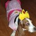 Bailey Basset - Facebook Profile Picture of Bailey Basset (@bailey.basset.9) on Facebook