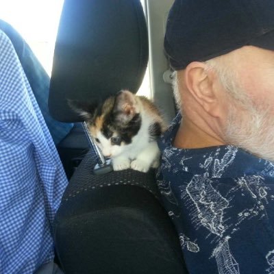 Profile Picture of Terry Wysong (@Terrywysong1) on Twitter