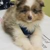 Profile Picture of Michael Peter (@@mike979802) on Tiktok