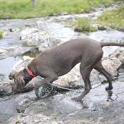 Profile Picture of Severin Ulstein (@severinulstein7580) on Youtube