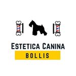 Profile Picture of Estetica Canina Bollis (@judith.gallegos2) on Instagram