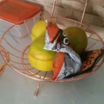 Profile Picture of costantino Marcelo (@costantino848) on Instagram