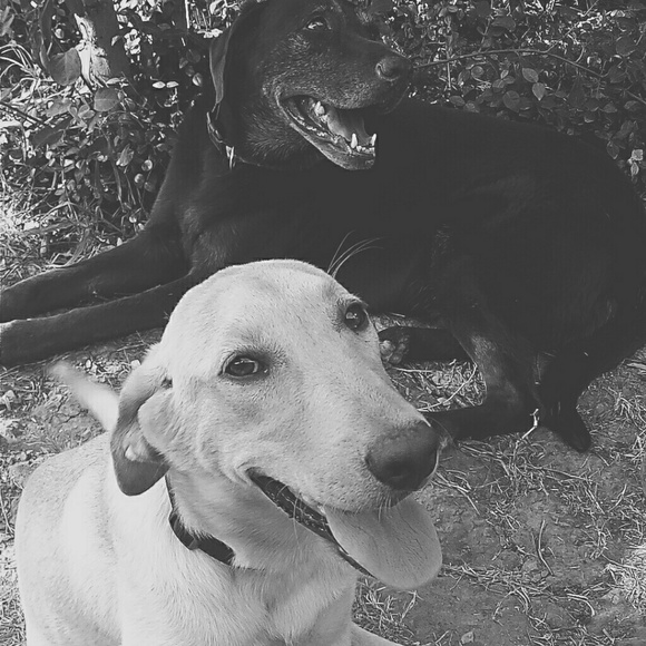 Profile Picture of Monica Olivarez (@monicaolivarez) on Poshmark