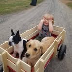 Profile Picture of Cathy Smyers Nunamaker (@cathy.nunamaker) on Facebook