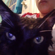 Profile Picture of Derek Arce (@derekarce6550) on Youtube