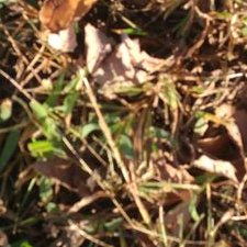 Profile Picture of M (@MattLindemann1) on Twitter