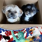 Profile Picture of Aiden Brzankalski (@aiden.brzankalski.3) on Facebook