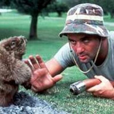 Profile Picture of John Sibley (@johnsibley4) on Twitter