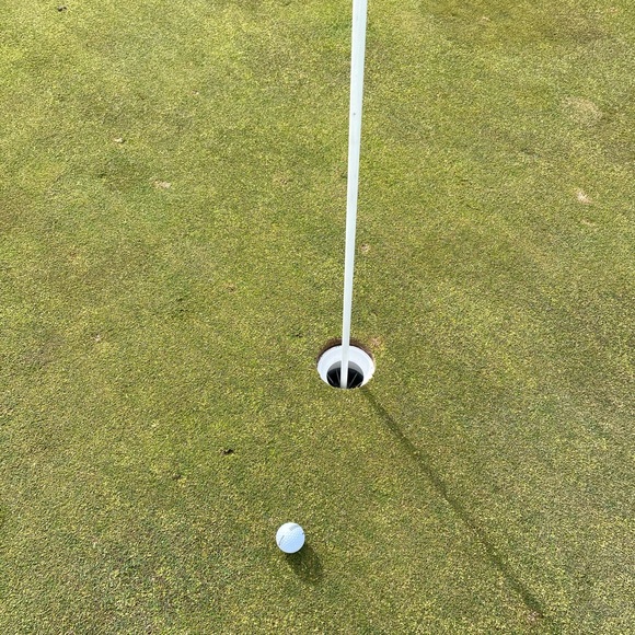 Profile Picture of Denise Blackmun (@deeblack221) on Poshmark