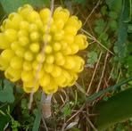 Profile Picture of Tamara Grace (@tamara.grace.961402) on Facebook