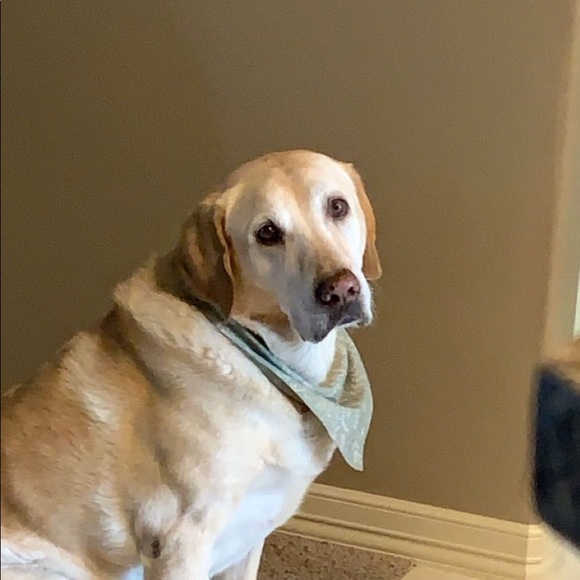 Profile Picture of Conley Deal (@conleydeal) on Poshmark