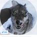 Profile Picture of Jeremy Matison (@jeremy.matison.5) on Facebook