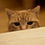 Rick - Flickr Profile Picture of Rick (@rickj.) on Flickr