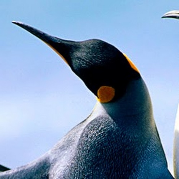 Corbin Madrill - Poshmark Profile Picture of Corbin Madrill (@cmadrillrivera) on Poshmark