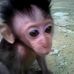 Profile Picture of Sean Trinh (@sean.trinh.54) on Facebook