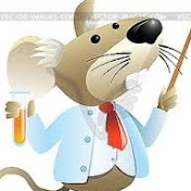 Profile Picture of Shannon Terry (@shannonterry9697) on Youtube