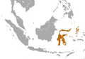 Profile Picture of Halmahera naked-backed fruit baton Wikipedia