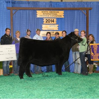 Profile Picture of Tim Schaeffer (@tssc121) on Twitter