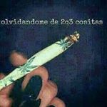 Profile Picture of Jason Acost (@jasonacost) on Instagram