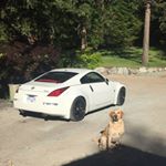 Profile Picture of Brett Carson (@brett_350z) on Instagram