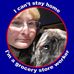 Profile Photo of Denise Bauman (@denise.bauman.10) on Facebook