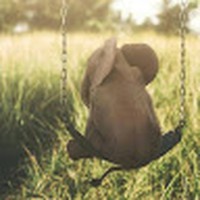 Profile Picture of Alessandro Mazzotta (@alessandro-mazzotta-3) on Quora