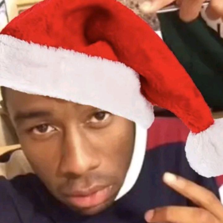Profile Picture of Ian branch (@i_hate_carlsjr_nuggets) on Tiktok